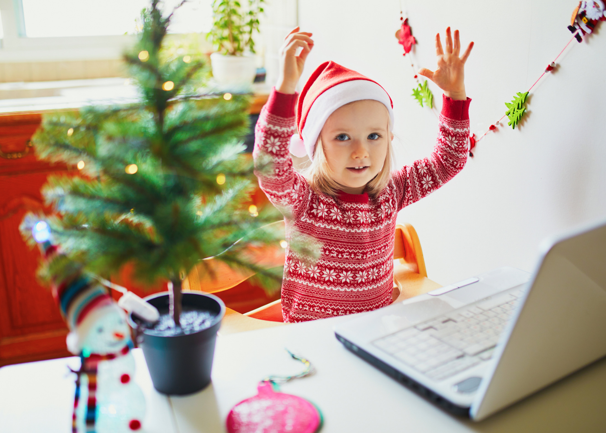 12 Reasons to Book a Virtual Santa Visit